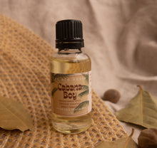 Load image into Gallery viewer, Cabana Boy Summer 2025 Home Fragrance Collection