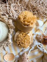 Load image into Gallery viewer, Santal Beach Coconut Milk Sea Sponge Soap