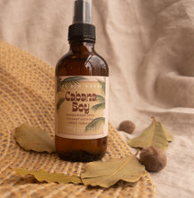 Load image into Gallery viewer, Cabana Boy Summer 2025 Home Fragrance Collection