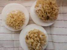 Load image into Gallery viewer, Salt & Sea Soleseife Brine Sea Sponge Soap