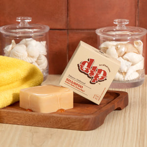 Dip Shampoo & Conditioner Bars