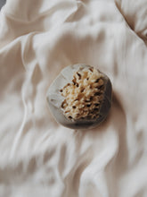Load image into Gallery viewer, Sea Siren Sea Sponge &amp; Sea Moss Gel Handcrafted Soap
