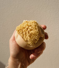 Load image into Gallery viewer, Santal Beach Coconut Milk Sea Sponge Soap
