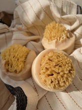 Load image into Gallery viewer, Santal Beach Coconut Milk Sea Sponge Soap
