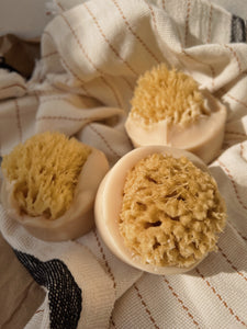 Santal Beach Coconut Milk Sea Sponge Soap