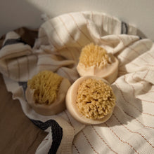 Load image into Gallery viewer, Santal Beach Coconut Milk Sea Sponge Soap
