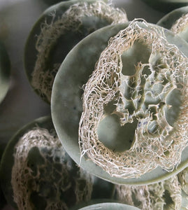 Mint Loofah Soap with Pumice, & Poppy Seeds